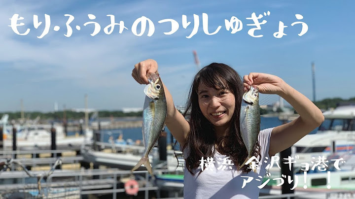 初心者も楽しい横浜金沢漁港の進丸でアジ釣り!!まさかの竿頭に!?＊もりふうみのつりしゅぎょう＊