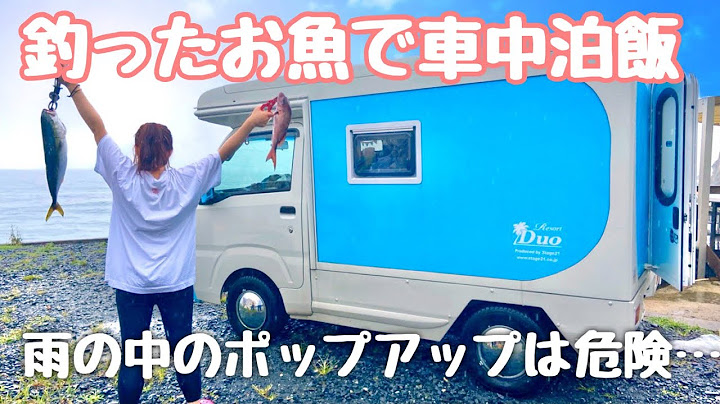 【軽キャン】RVパークで車中泊！釣って、お魚を車で料理して食べる【海釣り】